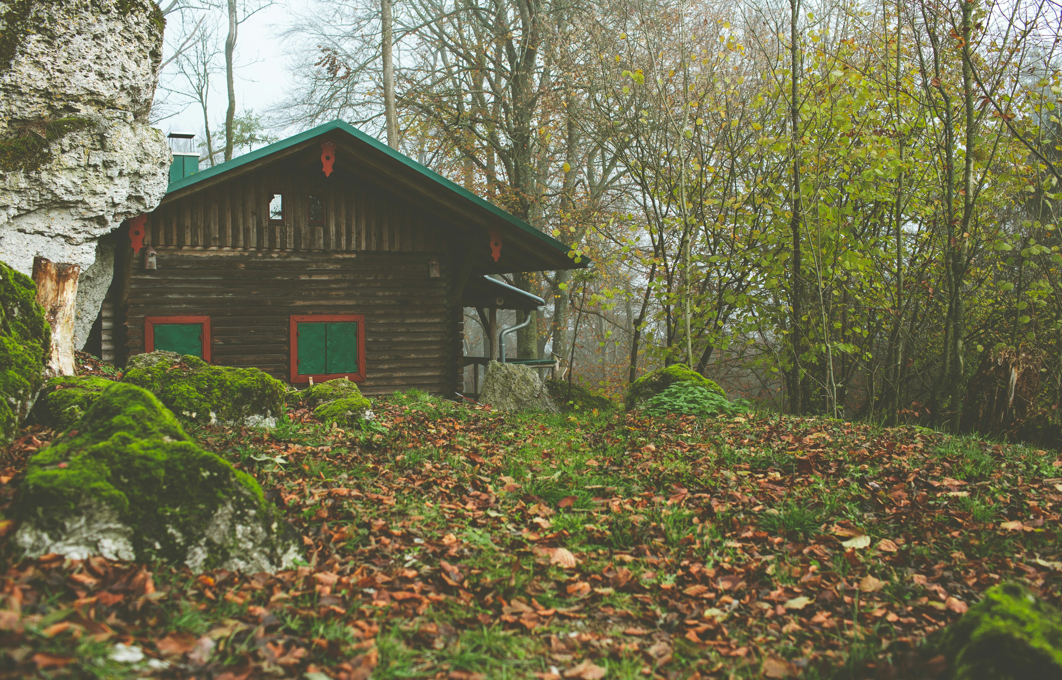 cabin near green trees during daytime